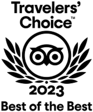 Black silhouette of a bird in flight, symbolizing freedom and nature. Ideal for nature-themed content and discussions about wildlife.